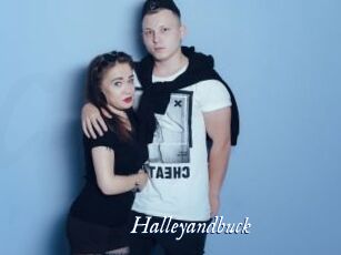 Halleyandbuck