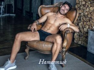 Hamermusk