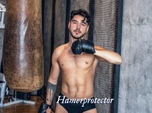Hamerprotector
