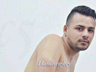 Hardhornyboy