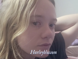 Harleyblossom