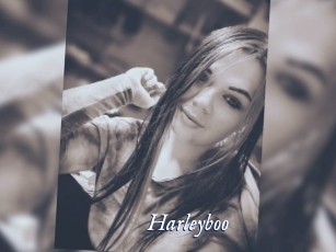 Harleyboo