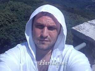 Haroldspace