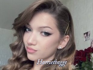 Harrietbagge