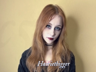 Harrietbigger