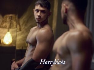 Harryblake