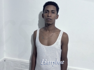 Harryhoot