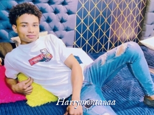 Harrymontanaa