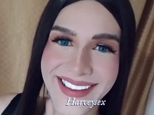 harveysex Cam 5