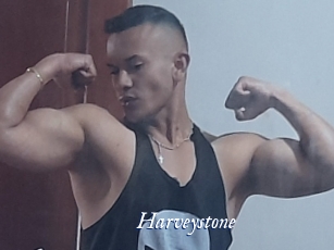 Harveystone
