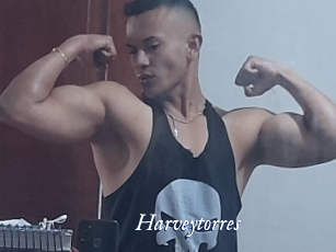 Harveytorres