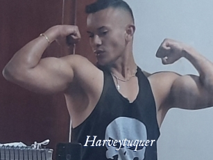 Harveytuquer