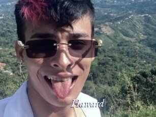 haward Cam 5
