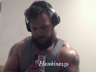 Hawkina239
