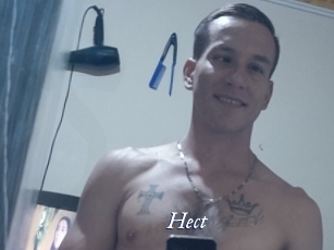 Hect