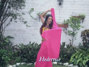 Hederrose
