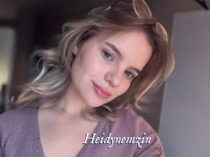 Heidynemzin