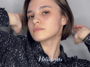 Helicesykes