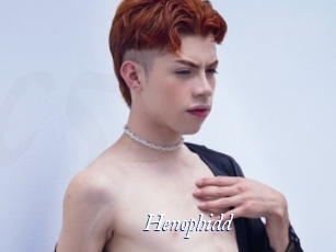 Henophidd