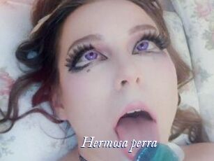 Hermosa_perra