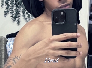 hersd Cam 5