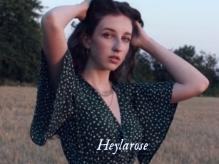 Heylarose