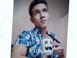 Hisniceboy