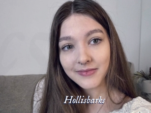 Hollisbarks