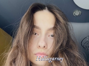 Hollisgarney