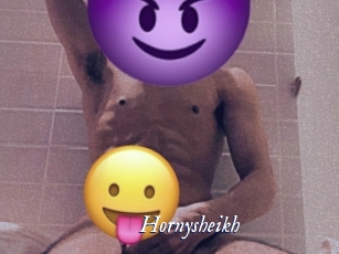 hornysheikh Cam 5