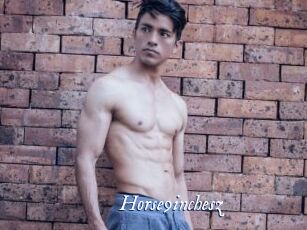 Horse9inchesz