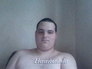 Horsesbatchelor