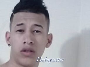 Hotboycutter