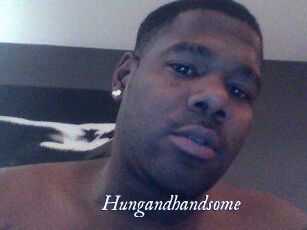 Hungandhandsome