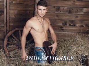 INDEFATIGABLE