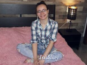 IrisBluey