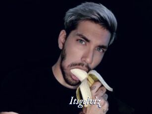 Itsgelviz