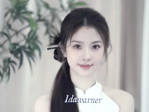 idawarner Cam 5