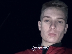 Igorkoshel