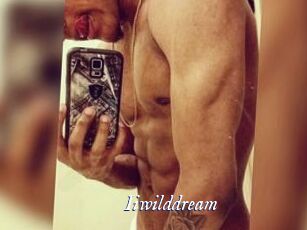 Iiwilddream