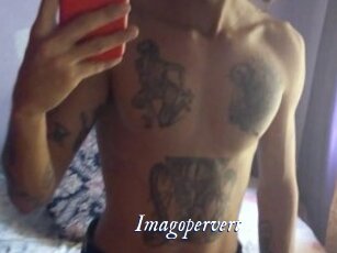 imagopervert Cam 5