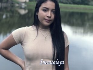 Imcataleya
