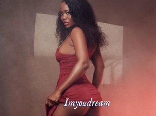 imyoudream Cam 5