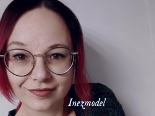 Inezmodel