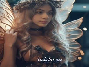 Isabelarosee