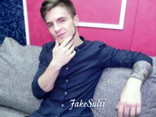 JakeSulii
