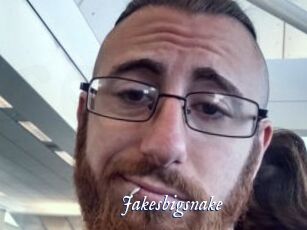 Jakesbigsnake