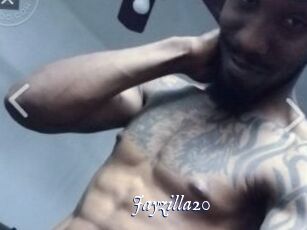 Jayzilla20