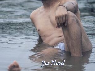 Joe_Novel