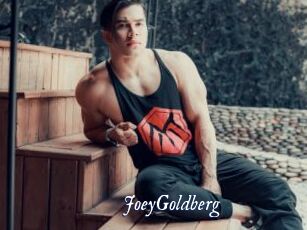 JoeyGoldberg